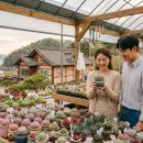 석양의추억펜션 이미지