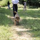 리버하우스 이미지