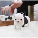 장수서창동-30 이미지