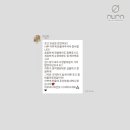 이안캐럿