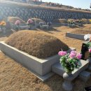 메이퓨어의원 산본점 | 2월은 날로 먹기