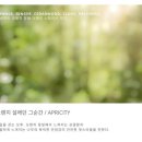 더슈슈아