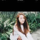 애니엘