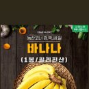포항농협 하나로마트 티스토리