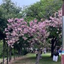 성산패총(유물전시관) 이미지