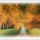 원봉농장 이미지