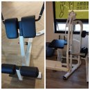 디랙스,볼케이노,오르고 헬스기구 이미지