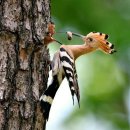 다린어린이집 이미지