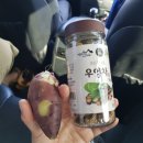 산청머쉬랜드