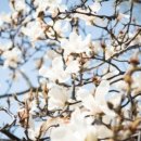 경희현한의원 이미지