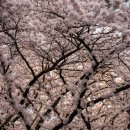 시영환경 이미지