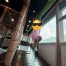 대원식당 가곡점 | 남양주 화도읍 마석 대원식당 정육식당 가곡점 고기 맛집 놀이방 후기