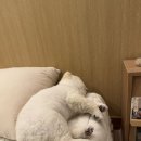 사계2248 이미지