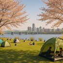 뚝섬한강공원-52 이미지