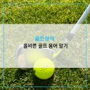 올바른골프