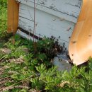 왕성농장 이미지