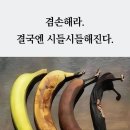 부모곡 네이버블로그