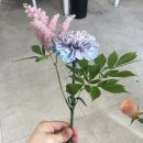 홍대 안단테꽃예술학원6 : 내일배움카드 국비수업 플로리스트기초입문 후기 : 화분심기&amp;한송이꽃포장