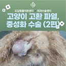 진리동물병원