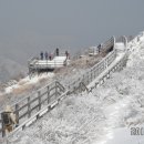 가공육(加工肉)과 적색육(赤色肉)의 적정섭취 이미지