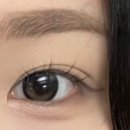 자이안경 위드렌즈 이미지