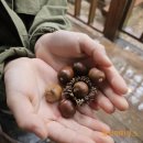 대운산펜션 | 추석 가족여행, 대운산 자연휴양림에서 힐링했어요