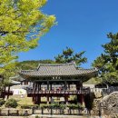 통영공설운동장 티스토리