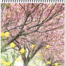 해광한의원 이미지