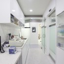 아이유동물메디컬센터 네이버블로그