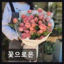 597 | [대전 꽃집] 꽃으로온 싱싱함과 감각적 디자인이 돋보인다