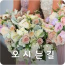 성혼마당 MARRYN 이미지