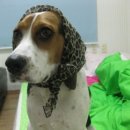 불광유치원 이미지