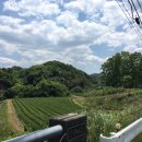 구주목장 이미지