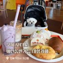 리얼안심탕수육구미점 | 구미 대형카페 오터스 애견동반 가능한 아이랑 함께 오기 좋은 카페 추천