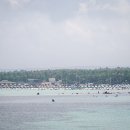 제주 올레길 14코스 이미지