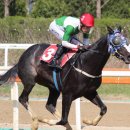 녹원목장 이미지