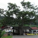 사곡2리 경로당 이미지