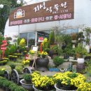 지성꽃식물원