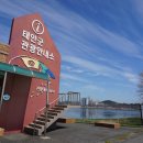 11260-3-65-12 | [25번째][태안] 서해랑길 65코스 - 2026.4.12.. '태안 세계 튤립 꽃 박람회' 까지 같이 본 보람찬 걷기...