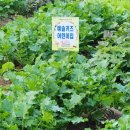 미래키즈어린이집 이미지