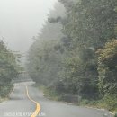 효대안경원 이미지