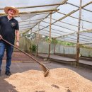 허니소농장 이미지