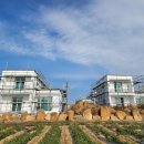 바다품은집 이미지