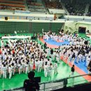 대학태권도체육관 이미지