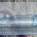 정통아구탕 이미지