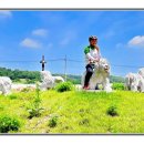 영천체육공원 이미지