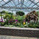 남양주시농업기술센터 | 사계절 꽃 향기가 머무는 곳 남양주 농업기술센터 방문기