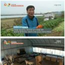 최신농장 이미지