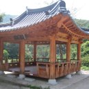 고무정 이미지