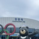 동서울카써비스 | 강릉역 (버스, 택시승강장, 렌트카, TMO, 물품보관함,맛집, 시간표, 수유실, KTX특송)